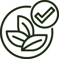 Natural & Skin-Safe Ingredients